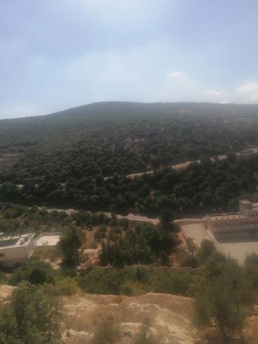 Paisaje cerca de este apartamento
