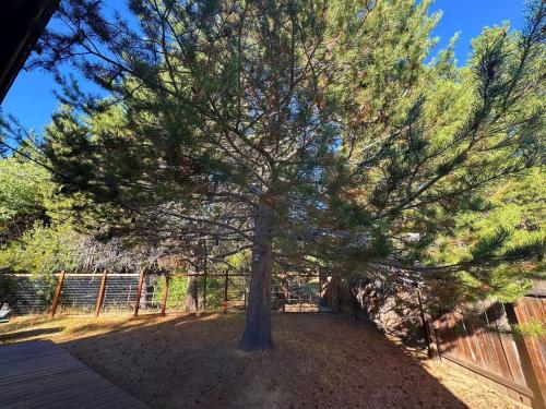 a large pine tree in front of a fence at Spacious family home on the Meadow Monthly Only in South Lake Tahoe