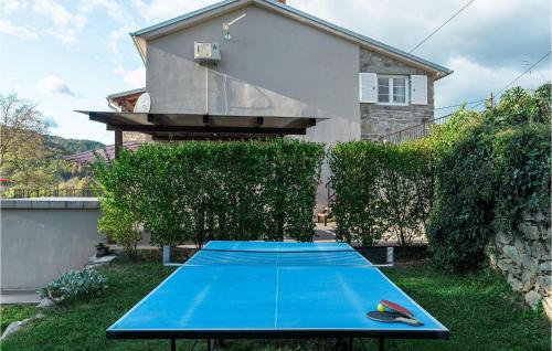Kemudahan pingpong di Villa Supljini atau berdekatan
