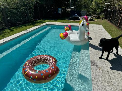 a dog is standing next to a pool with a toy horse and a float at Heaven in the Hills Retreat in Maleny