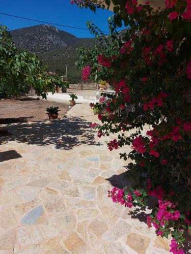 Φωτογραφία από το άλμπουμ του Holiday House Sonia σε Δίδυμα