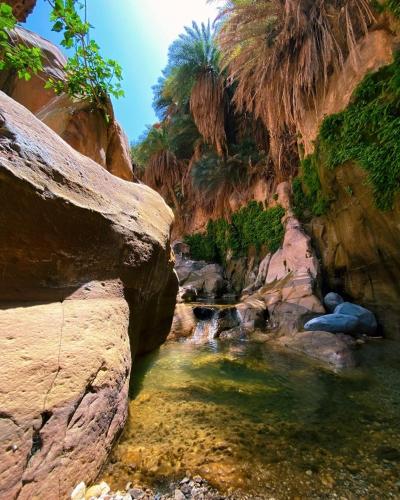 Gallery image of Dana’s Trail Hotel in Dana