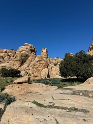 Gallery image of Dana’s Trail Hotel in Dana