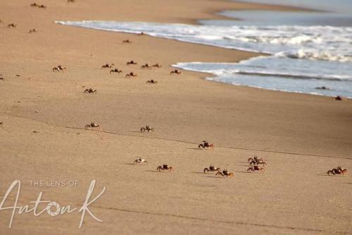a group of people on a beach near the ocean at Holiday at the Beach - Sapphire Coast in Amanzimtoti