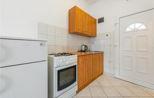 Η κουζίνα ή μικρή κουζίνα στο Awesome Apartment In Kustici