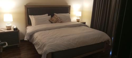 Photo de la galerie de l'établissement 1 Bed Room Suite Elysium Tower-Opposite Centaurus Mall Islamabad, à Islamabad