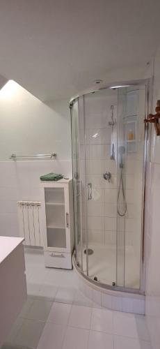 a bathroom with a shower with a glass door at Alloggio Turistico La Perla dell'Etruria in Sutri