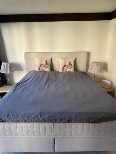 Una cama o camas en una habitación de Sehr Schöne Wohnung in Engelberg