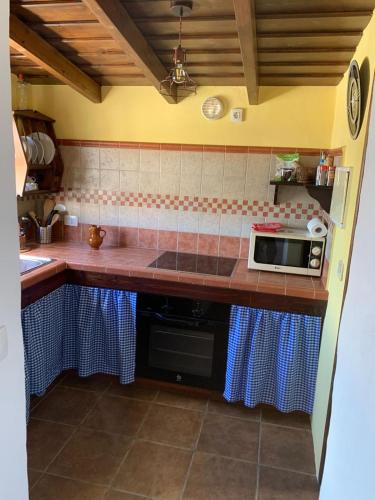 a kitchen with a counter top with a microwave at Casa El Pajero in Breña Alta