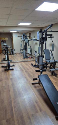 a gym with several rows of exercise equipment in a room at Family Hotel Emaly 1 in Bankya
