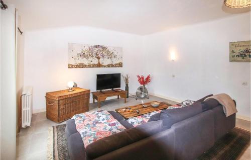 un salon avec un canapé et une télévision dans l'établissement Beautiful Home In Salles Sous Bois, à Salles-sous-Bois