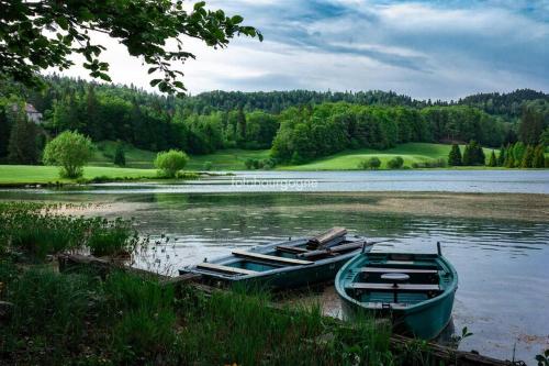 a green boat sitting on the shore of a lake at Appart cosy vue montagne, nature & ski à proximité in Echallon