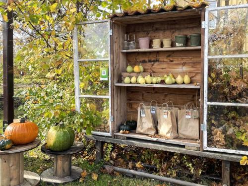an old greenhouse with bags of apples and pumpkins at 4 star holiday home in Fengersfors in Fengersfors