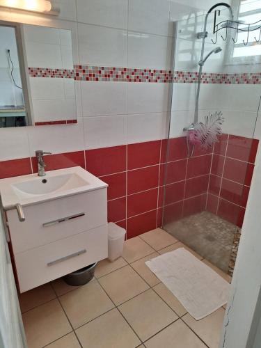 a bathroom with a sink and a shower at Une petite halte à Terre-de-Haut in Terre-de-Haut