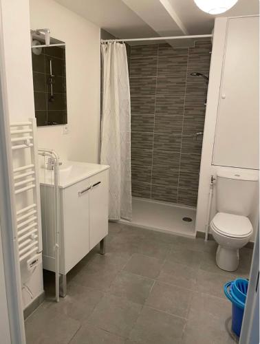 une salle de bain avec toilettes, lavabo et douche dans l'établissement Studio 18, au Havre