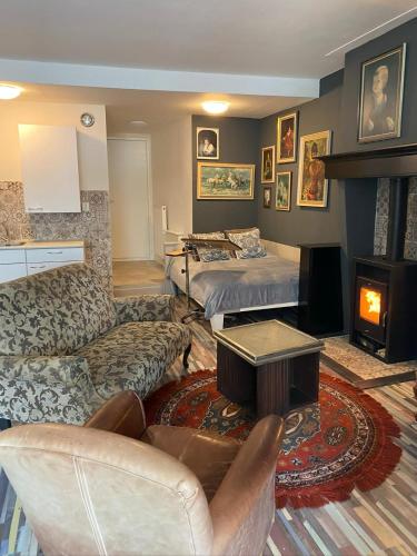 a living room with a couch and a bed and a fireplace at Friend zone in Zaandam