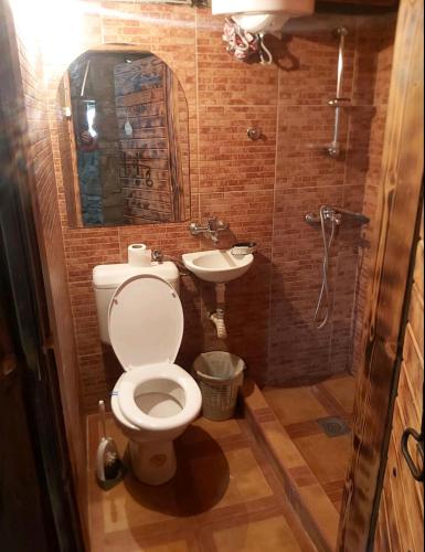 a bathroom with a toilet and a sink at Etno selo Smederevo PEPE- Serbia in Landol
