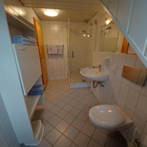 a bathroom with a toilet and a sink at Ferienwohnungen Lahmenhof in Poppenhausen