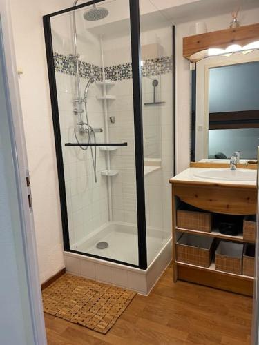 a bathroom with a shower and a sink at chalet mitoyen en duplex in La Joue du Loup