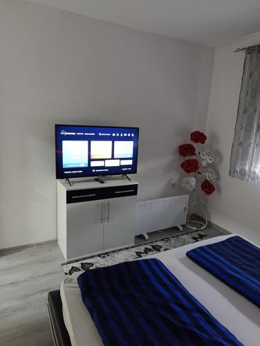 a bedroom with a flat screen tv and a bed at Apartman Ella in Bosanska Krupa