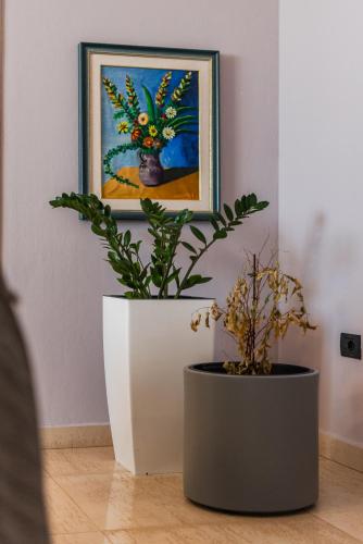 two potted plants sitting on the floor in front of a painting at Main square apartment in Durrës