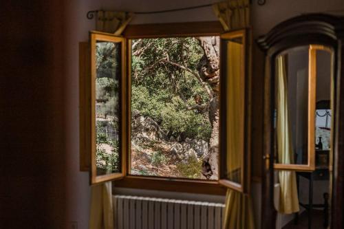 a window with a view of a tree at Casa Tramuntana in Valldemossa