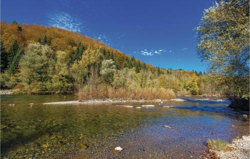 a river in the middle of a forest at Nice Home In Brod Na Kupi With Sauna in Brod na Kupi