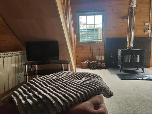 a bedroom with a bed and a stove in a room at Walliswood Lodge - Wood Burner, Air Con & Wi-fi, Rural Retreat in Ewhurst