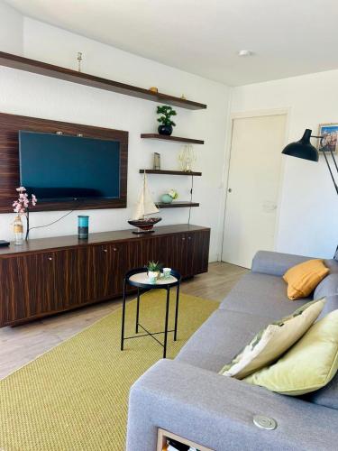 un salon avec un canapé et une télévision à écran plat dans l'établissement Bel appartement Port Vauban à 100m des plages, à Antibes