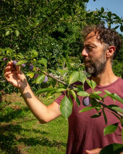 a man holding up a branch of a fruit tree at VILLA ADRIANA in Bra