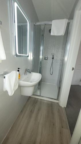 a bathroom with a shower and a sink at Murphy's Pub and Bed & Breakfast in Dingle