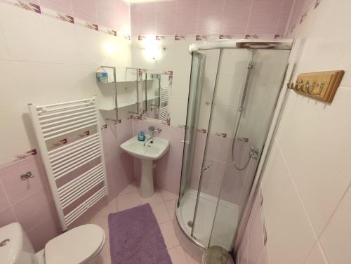 a bathroom with a shower and a toilet and a sink at Hotel Vyšehrad in Turčianske Teplice