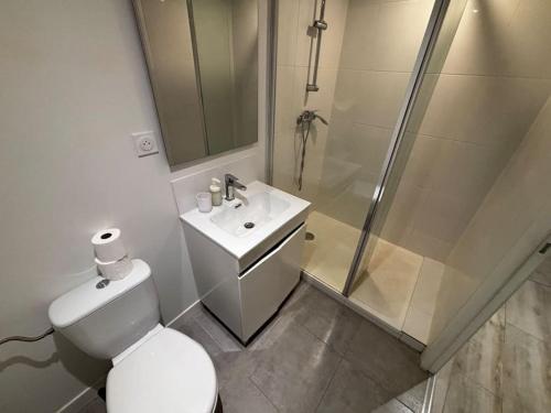 une salle de bain avec toilettes, douche et lavabo dans l'établissement Superbe appartement Roquevaire, à Roquevaire