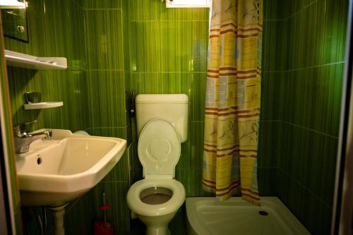 a green bathroom with a toilet and a sink at Casa La Dinamo in 2 Mai