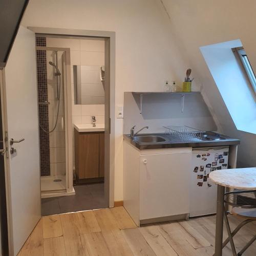 Η κουζίνα ή μικρή κουζίνα στο Studio Obernai