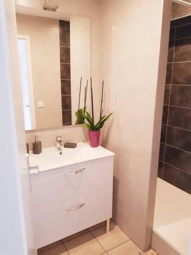 une salle de bain blanche avec un lavabo et un miroir dans l'établissement Vue imprenable avec terrasse de 100 m2, à Jacob-Bellecombette