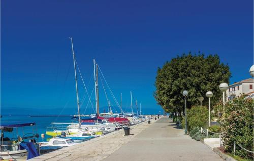 a group of boats are docked at a marina at Lovely Home In Rasopasno With Wifi in Rasopasno