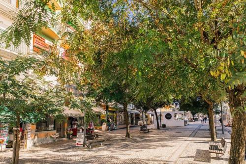 a tree lined street with benches and buildings at Modern apartment 5 mins walking to the Santuary in Fátima