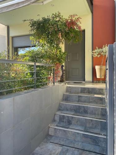 a front door of a house with stairs and plants at Full House Trikala Escape in Tríkala
