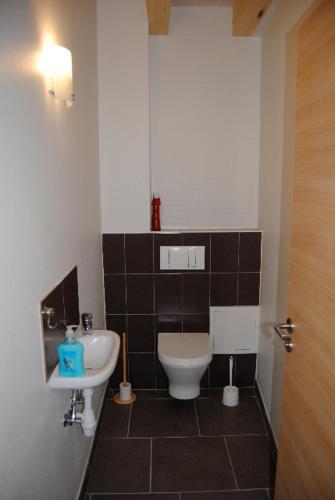 a small bathroom with a toilet and a sink at Gîte Binnert Bader in Nothalten