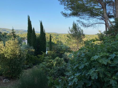 een tuin met bomen en struiken op een heuvel bij La rouvraie in Flayosc
