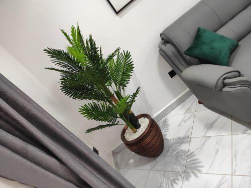 a living room with a chair and a palm tree at Winslow Luxury apartments with Wifi connection and a gorgeous Lake sunset view in Kampala