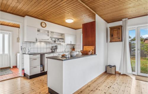 Η κουζίνα ή μικρή κουζίνα στο Gorgeous Home In Læsø With Kitchen