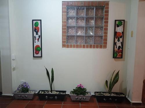 a group of plants in pots on a wall at Apartamento amplio en el corazón de Usaquén in Bogotá