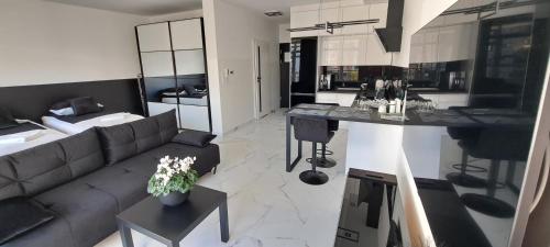 VIP Apartament Szyndzielnia