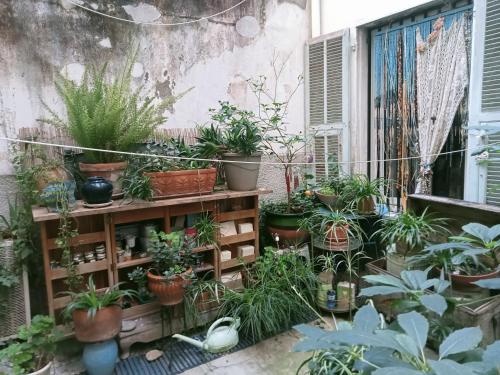 Un jardin en Ville