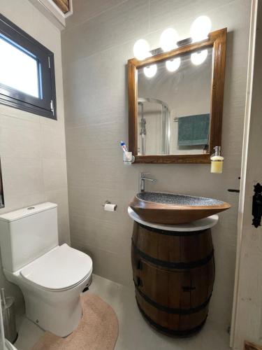 a bathroom with a sink and a toilet and a mirror at Marosa Guesthouse in Tríkala
