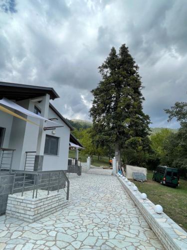 a house with a tree next to a stone driveway at Marosa Guesthouse in Tríkala