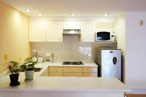 Gallery image of Suites Las Palmas in San José del Cabo