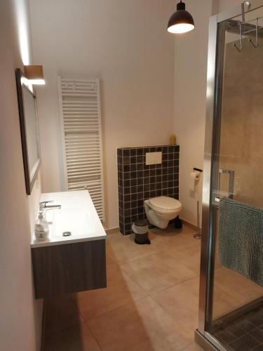 a bathroom with a toilet and a sink and a shower at Gîte Le Salmon in Neufchâteau
